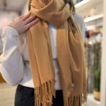 Pahsmina cashmere Marron