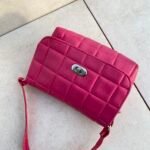 Cartera de Ñiña