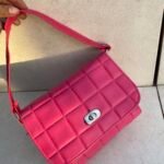 Cartera de Ñiña