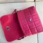 Cartera de Ñiña